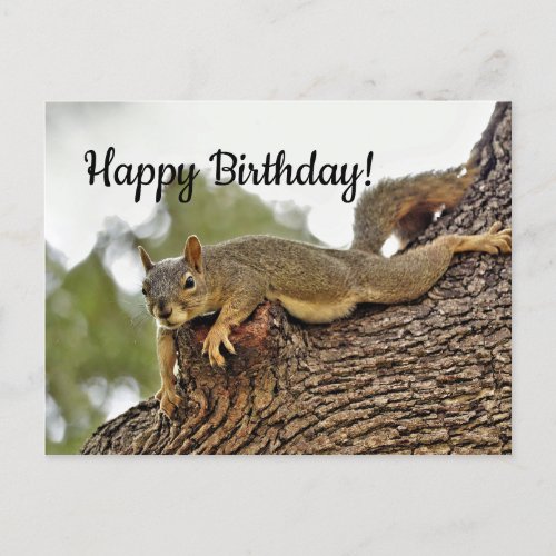 Tree Reclining Squirrel  Birthday Postcard