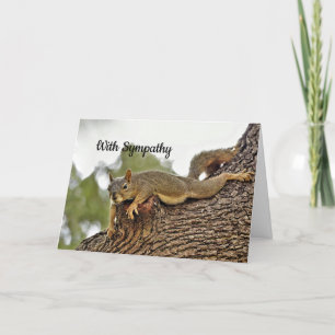 Tree Reclining Squirrel  Sympathy Card
