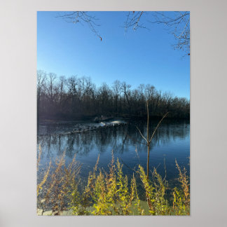 Tree Reflections Photo Poster