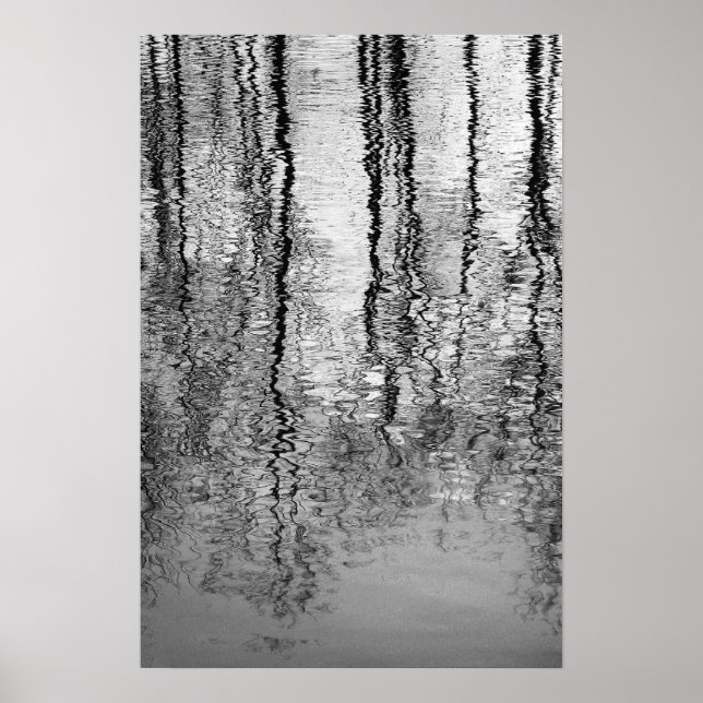 Tree reflections poster (Front)