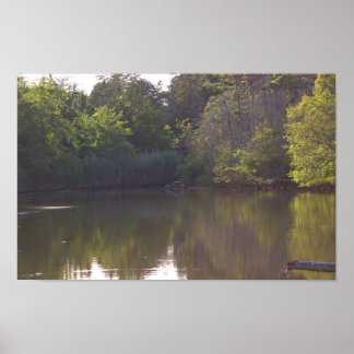 Tree Reflections Waterscape Photo Poster