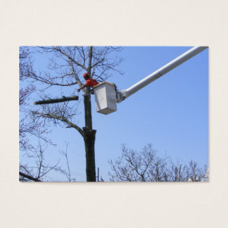 Tree Removal ~ ATC