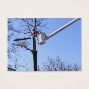 Tree Removal ~ Atc by Andy2302 at Zazzle