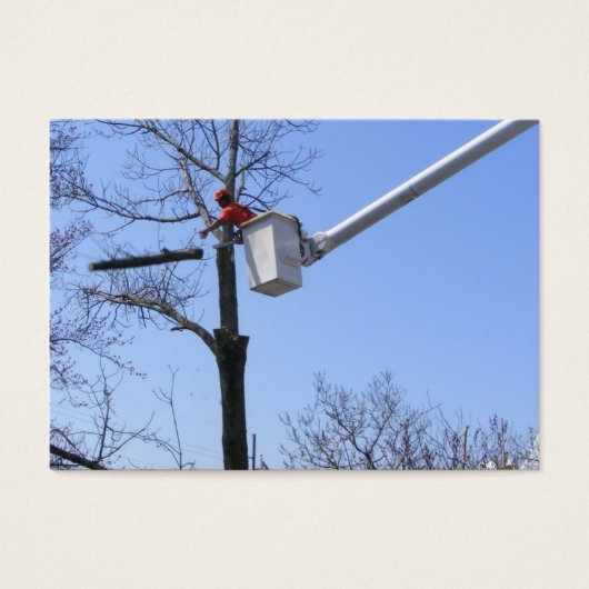 Tree Removal ~ ATC (Front)