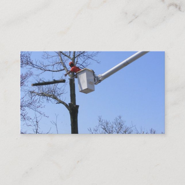 Tree Removal ~ biz card (Front)