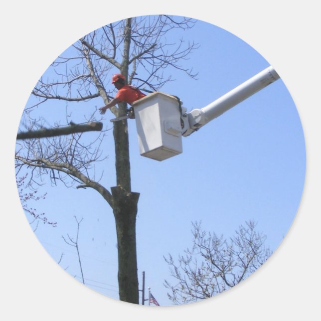 Tree Removal ~ sticker (Front)