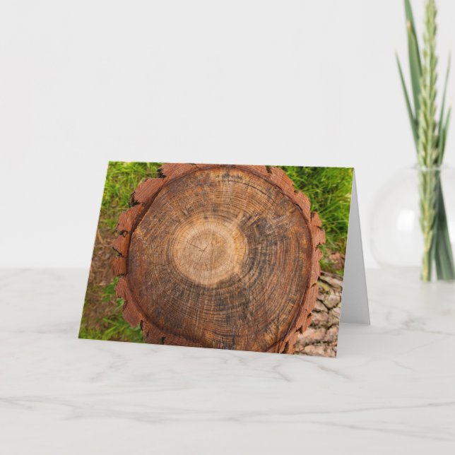 Tree Rings Cross Section Print Card (Front)