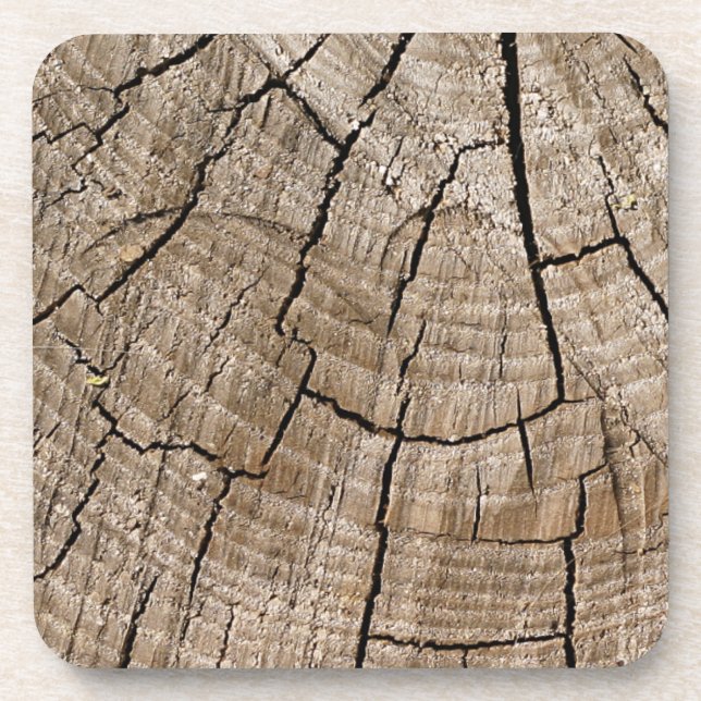 Tree Rings Drink Coaster (Front)