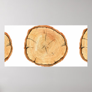 Tree rings. Watercolor illustration. hand drawn ab Poster