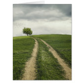 Tree road nature scenery (Front)