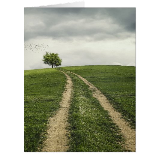 Tree road nature scenery cards (Front)