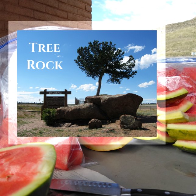 Tree Rock,Median of Interstate 80, Buford Wyoming Postcard (Creator Uploaded)