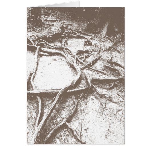 Tree roots on Mt. Kurama Cards (Front)