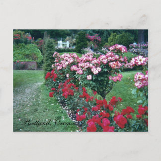 Tree Roses, Portland, Oregon Postcard