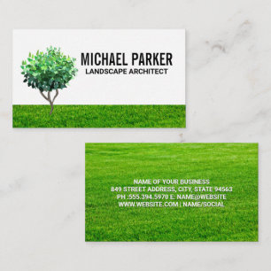 Tree Sapling Grass Field Background Business Card