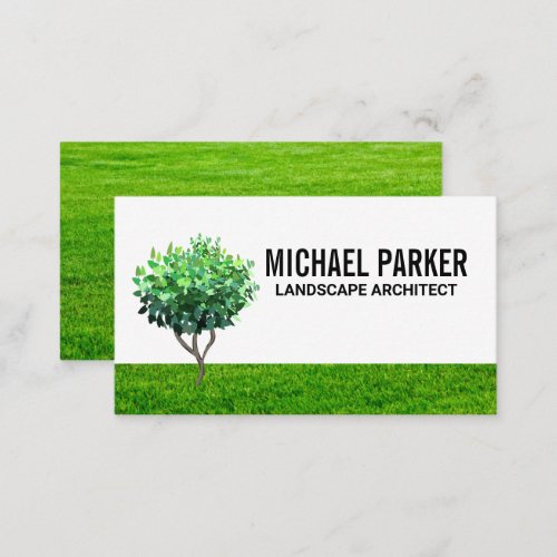 Tree Sapling  Grass Field Background Business Card