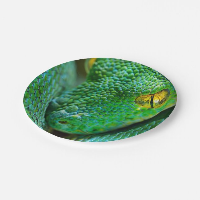 Tree Scene Paper Plates (Angled)