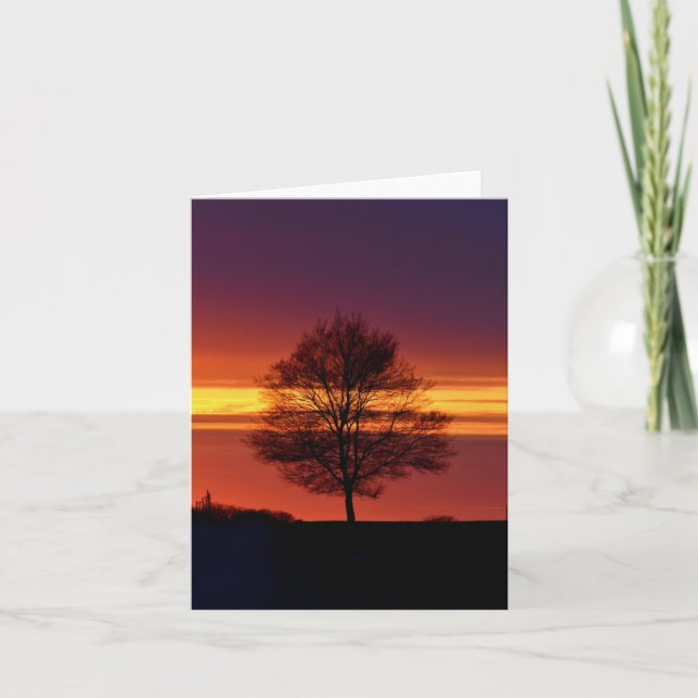 Tree silhouette blank notecard.  letterpress thank you card (Front)