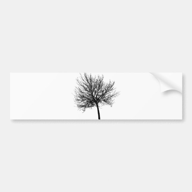 Tree Silhouette Bumper Sticker (Front)
