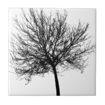 Tree Silhouette