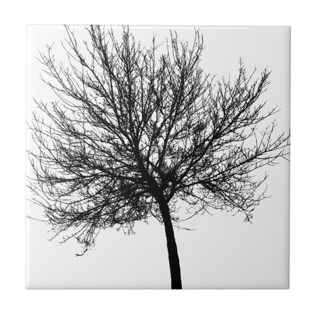 Tree Silhouette Ceramic Tile (Front)