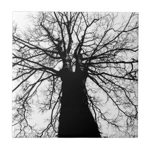 Tree Silhouette in Black and White Ceramic Tile