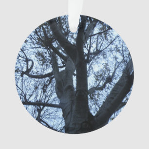Tree Silhouette Photograph Acrylic Ornament