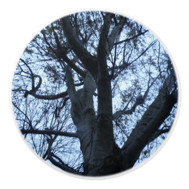 Tree Silhouette Photograph Ceramic Knob (Front)
