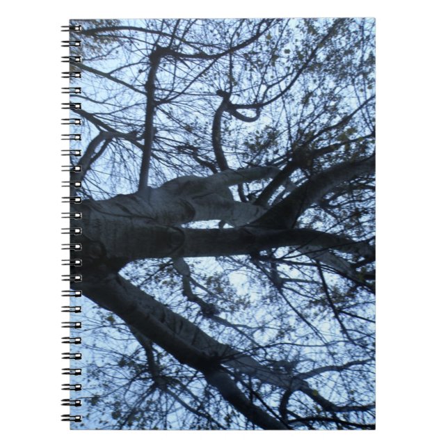 Tree Silhouette Photograph Notebook (Front)