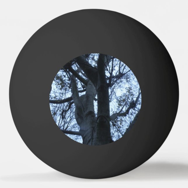 Tree Silhouette Photograph Ping Pong Ball (Front)