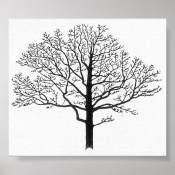 Tree Silhouette Poster by EnKore at Zazzle