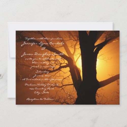 Tree Silhouette Sunset Country Wedding Invitations