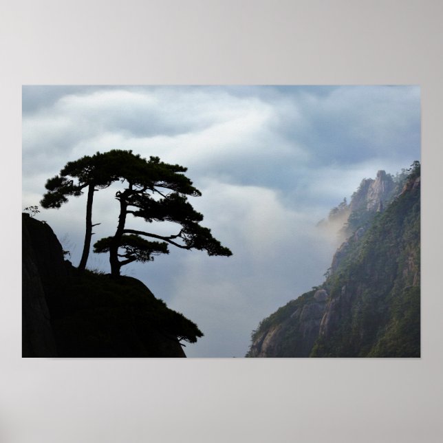 Tree silhouetted at sunrise, Yellow Mountain, Poster (Front)