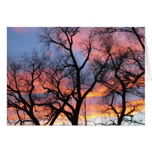 Tree Silhouettes at Dusk Cards (Front Horizontal)