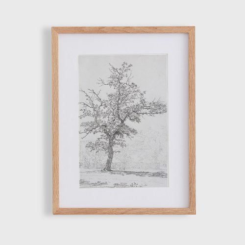 Tree sketch Vintage  Poster