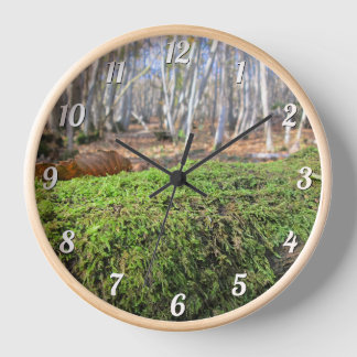 Tree Slumbers in Autumn Moss - Custom Round Wall Clock
