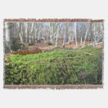 Tree Slumbers in Autumn Moss - Personalized