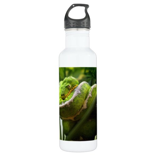 Tree Snake Water Bottle