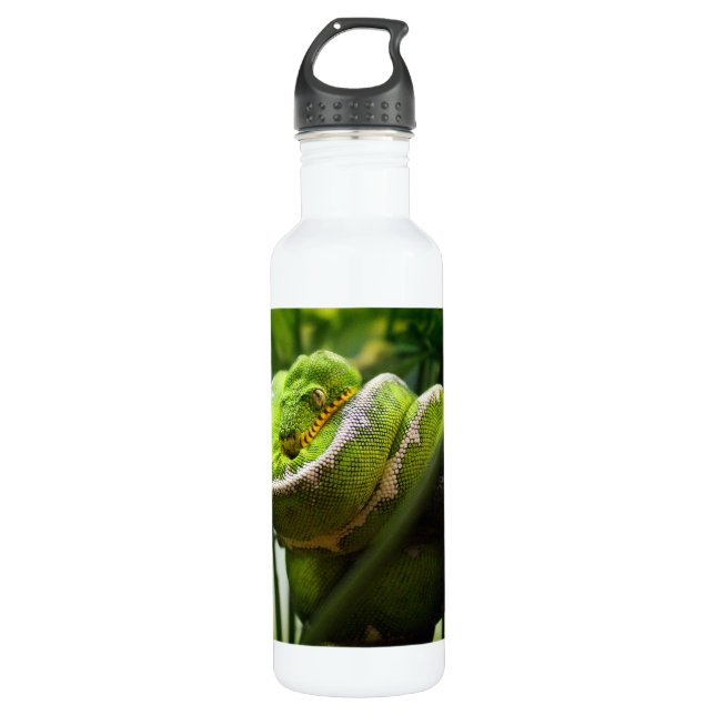 Tree Snake Water Bottle (Front)