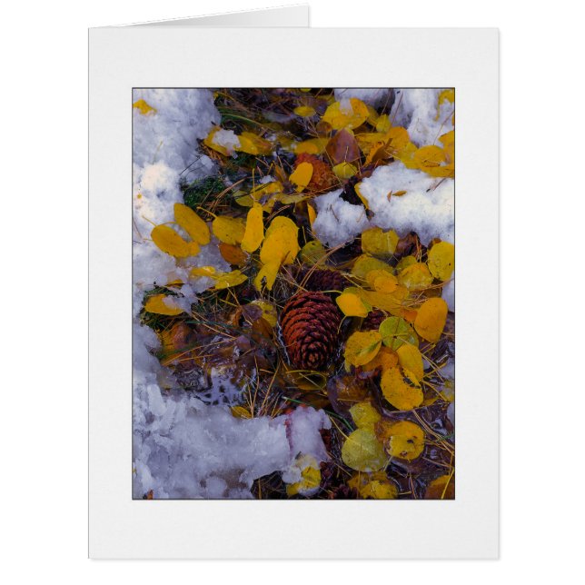 "Tree Soup" Cards (Front)