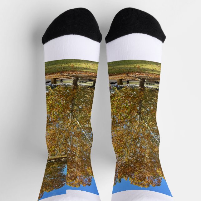 Tree sox socks (Top)