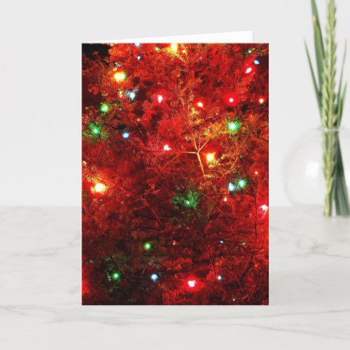 Tree Sparkles Holiday Card