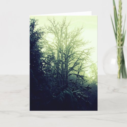 Tree Spirit Card