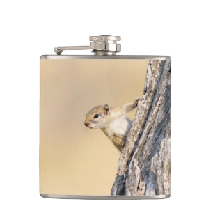 Tree squirrel flask