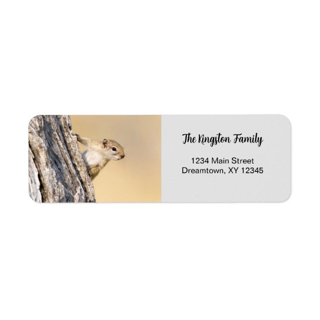 Tree squirrel funny personalized Return Address Label (Front)