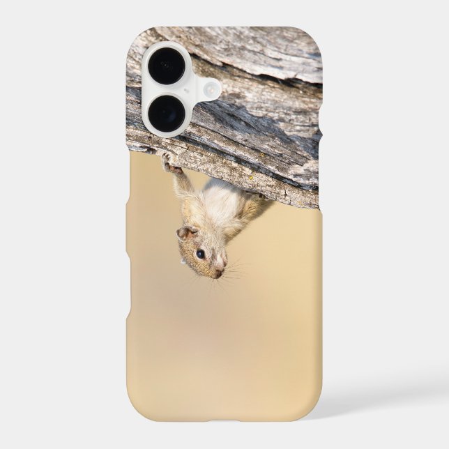 Tree squirrel iphone case (Back)