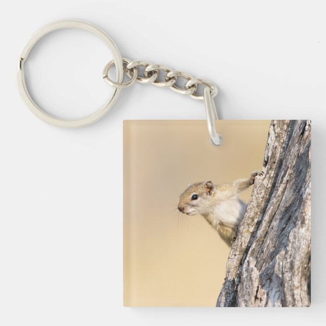 Tree squirrel keychain (Front)