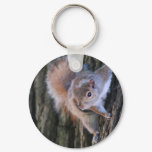 Tree Squirrel  Keychain