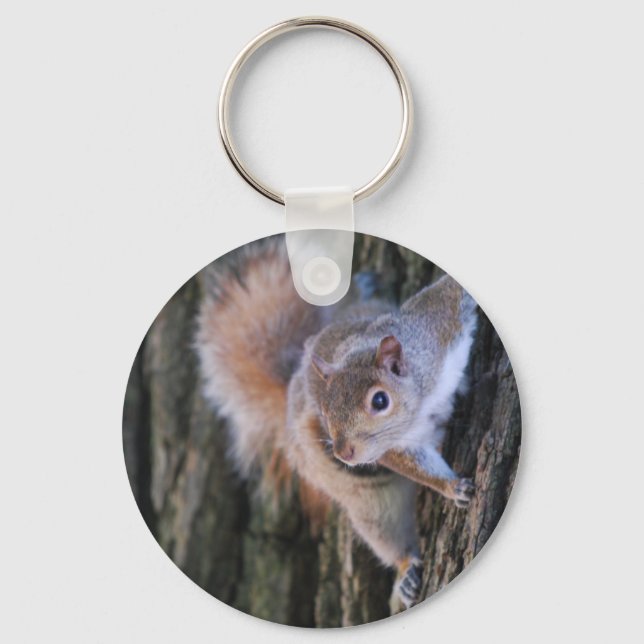 Tree Squirrel  Keychain (Front)