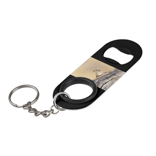 Tree squirrel keychain bottle opener (Front Angled)
